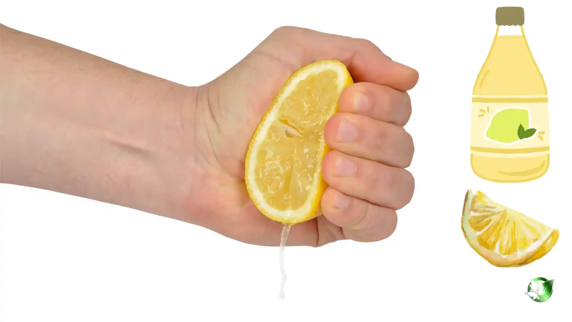 Commercial presentation of Lemon Juice for wholesale product evaluation and buyer review.